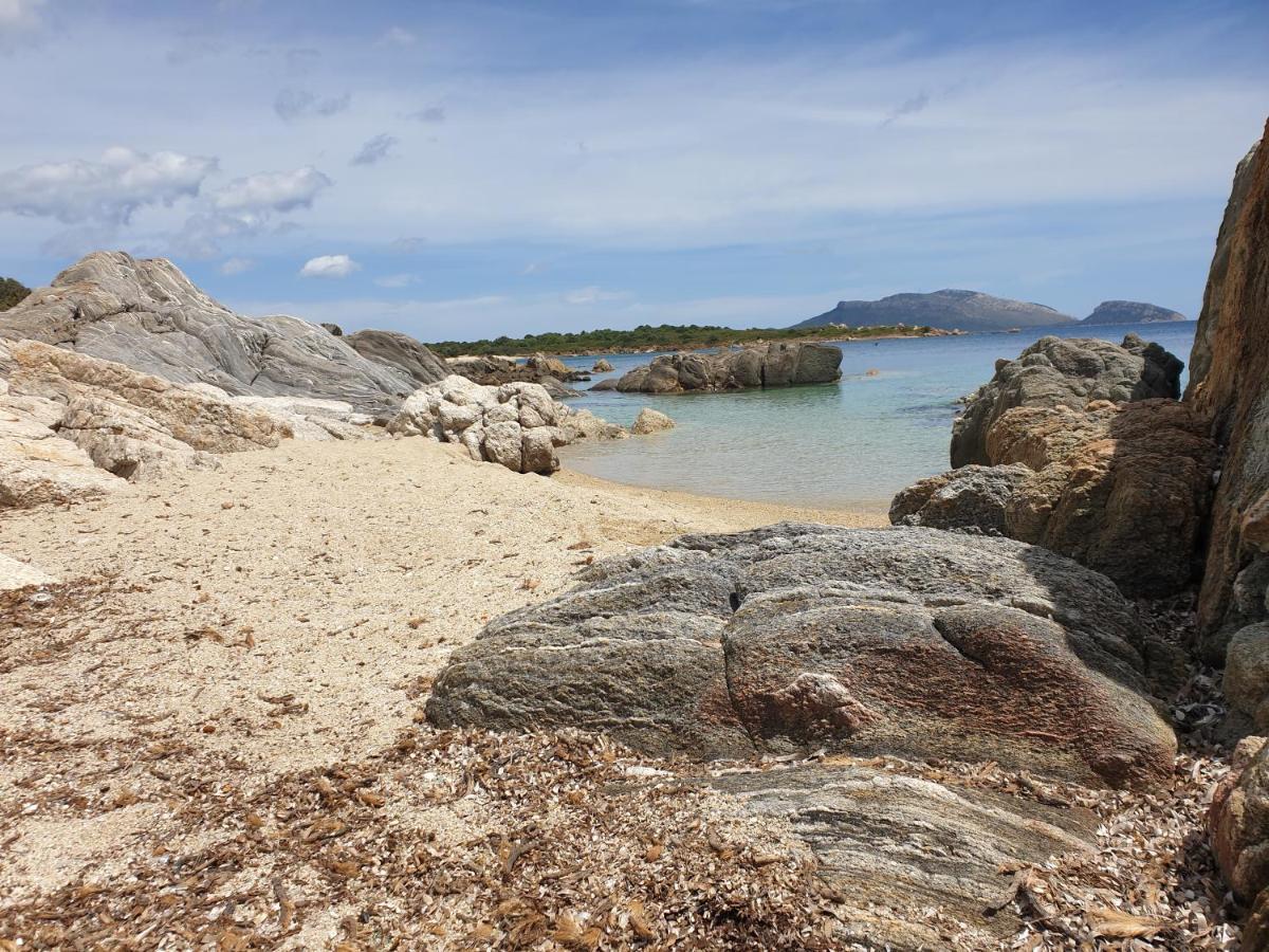 Home On Sardinia Beach Olbia Zewnętrze zdjęcie