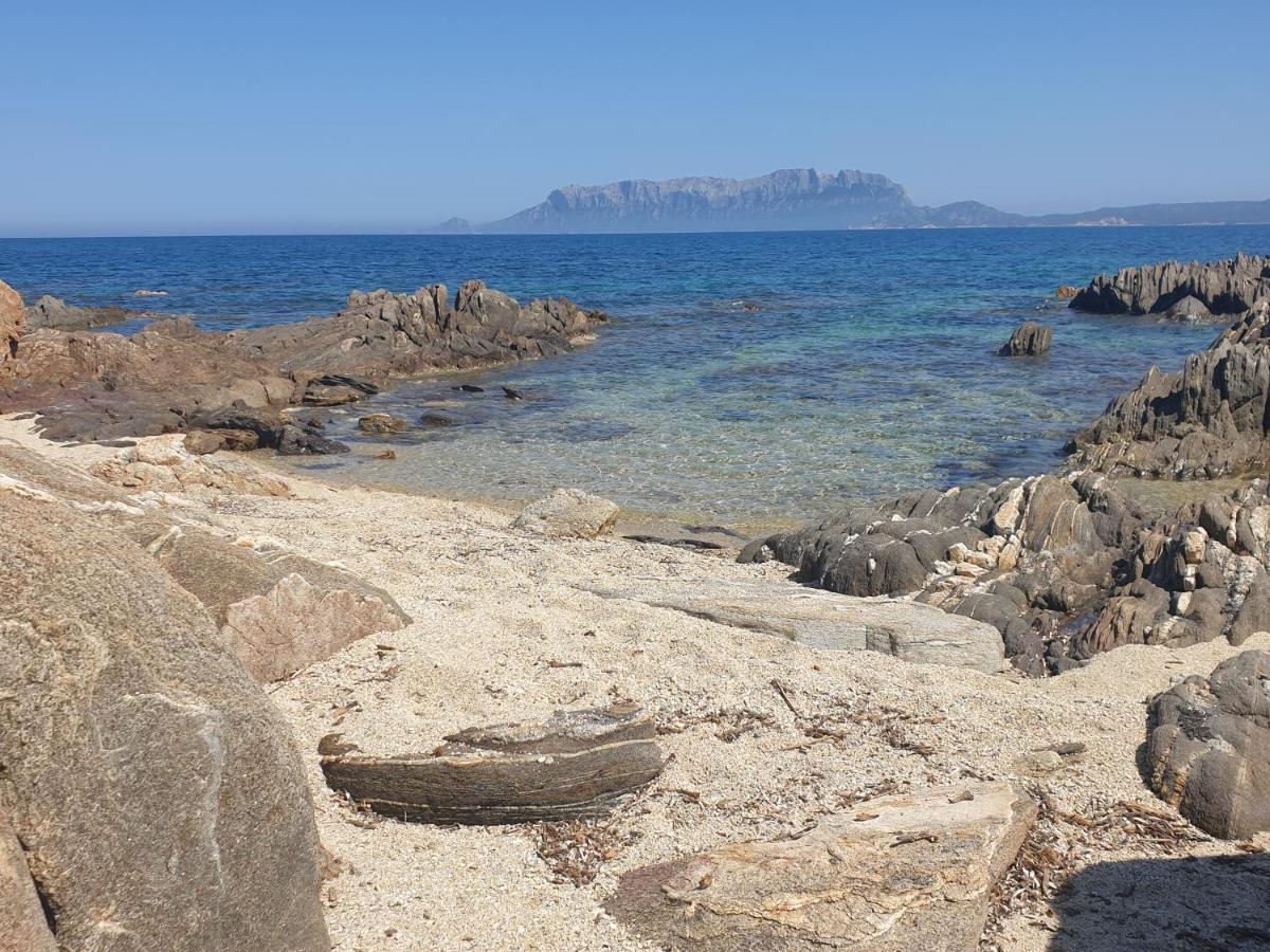Home On Sardinia Beach Olbia Zewnętrze zdjęcie