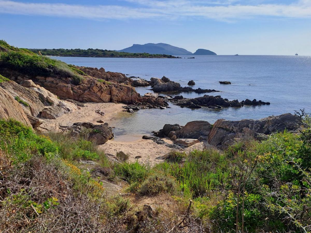 Home On Sardinia Beach Olbia Zewnętrze zdjęcie